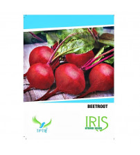 Iris Imported Beetroot 30 Seeds